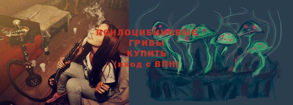МДПВ Богородск