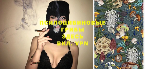 не бодяженный Богородицк