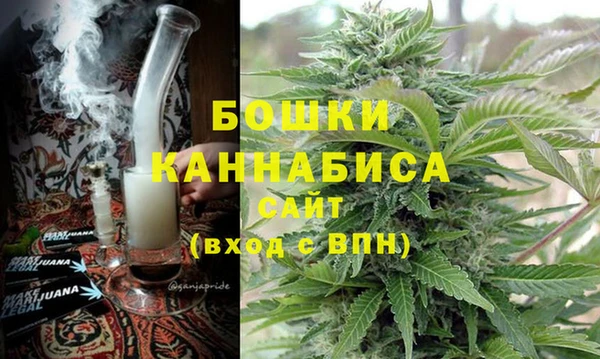 МДПВ Богородск